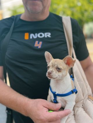 Nový člen PRGCLOSET 🏎️🏁😍 . . . #landonorris #f1style #T1fashion #formulal #hoodieseason #racingstyle #streetwear...